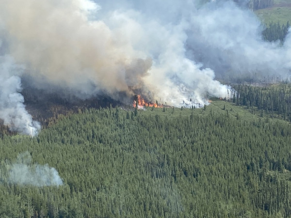 ‘Shadowing’ incident management at Canadian wildfires | The Portal